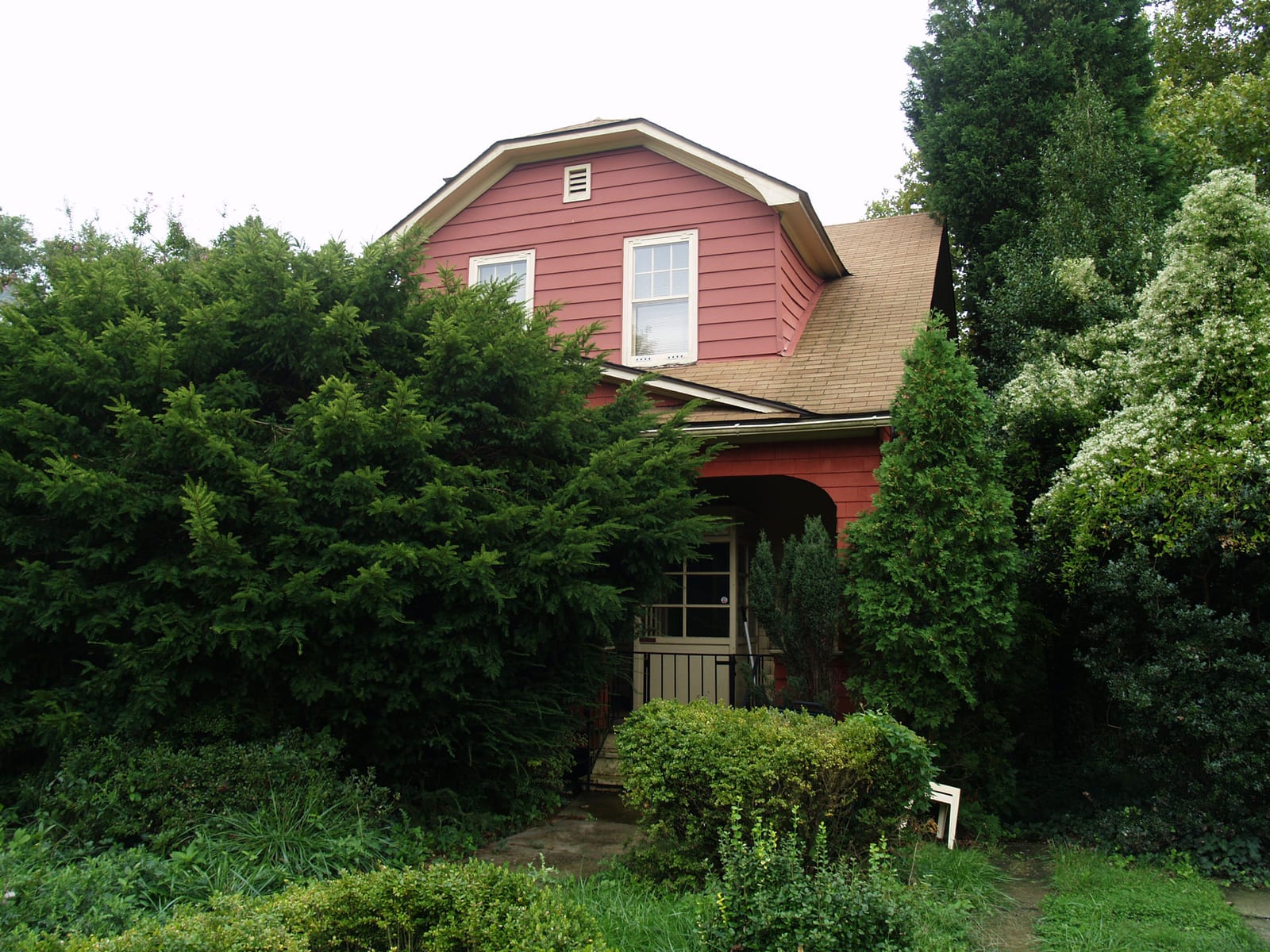 The house before renovation — so overgrown with trees and bushes it could barely be seen from the street